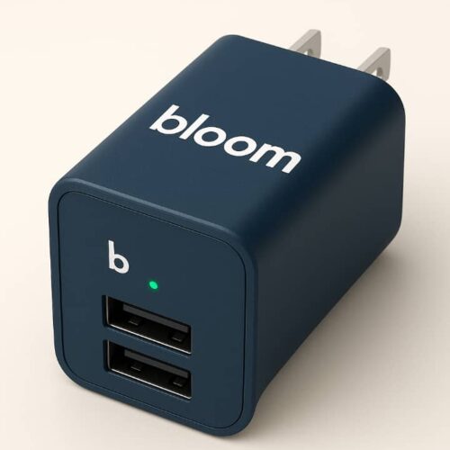 Chargers & Power Solutions